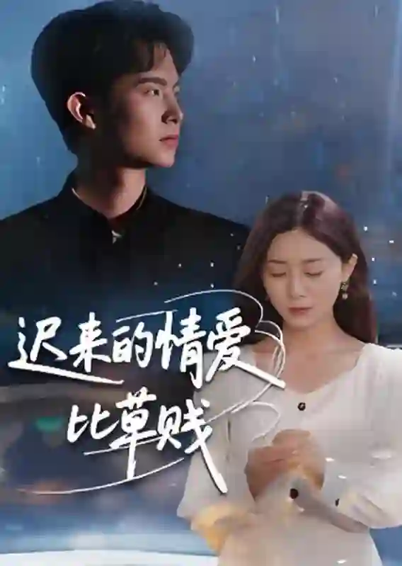 迟来的情爱比草贱