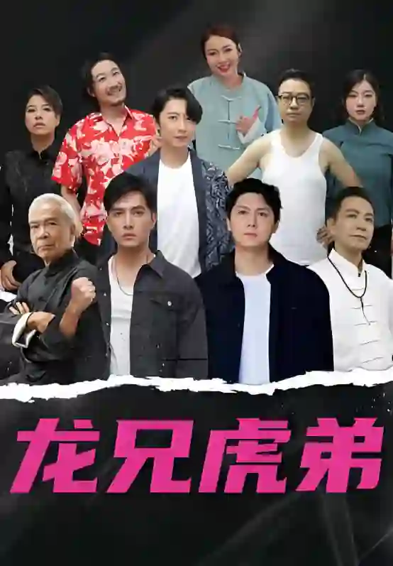 龙虎兄弟 国语版